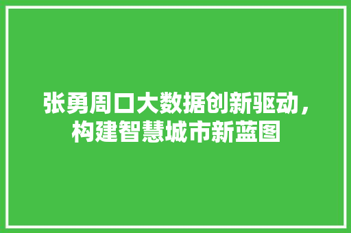 张勇周口大数据创新驱动，构建智慧城市新蓝图  第1张