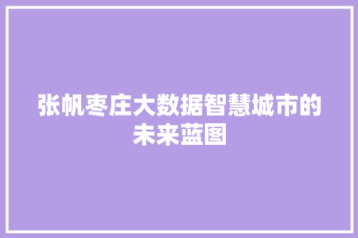 张帆枣庄大数据智慧城市的未来蓝图  第1张