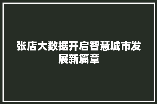 张店大数据开启智慧城市发展新篇章  第1张