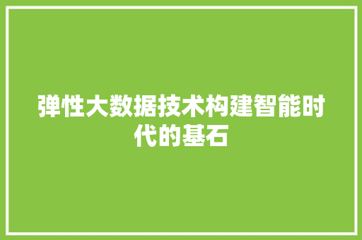 弹性大数据技术构建智能时代的基石