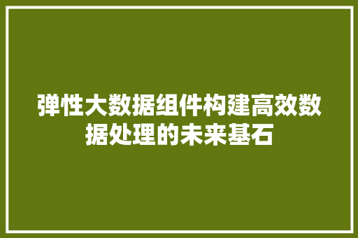 弹性大数据组件构建高效数据处理的未来基石  第1张