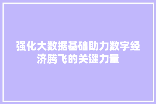 强化大数据基础助力数字经济腾飞的关键力量  第1张