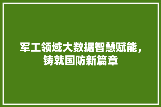 军工领域大数据智慧赋能，铸就国防新篇章  第1张