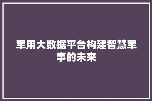 军用大数据平台构建智慧军事的未来