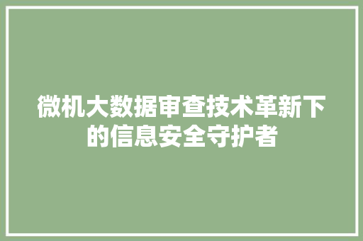 微机大数据审查技术革新下的信息安全守护者  第1张