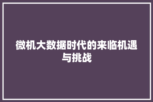 微机大数据时代的来临机遇与挑战  第1张
