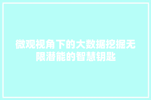 微观视角下的大数据挖掘无限潜能的智慧钥匙  第1张