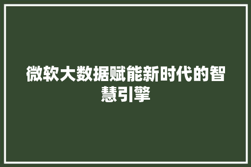 微软大数据赋能新时代的智慧引擎