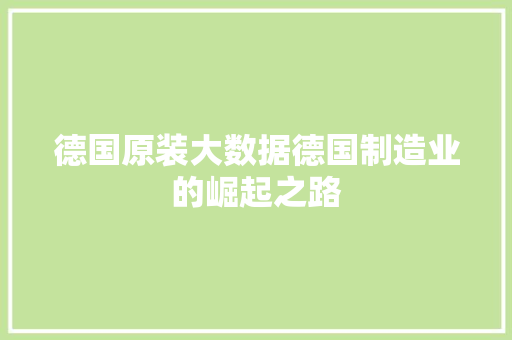 德国原装大数据德国制造业的崛起之路