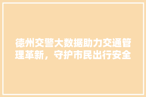 德州交警大数据助力交通管理革新，守护市民出行安全  第1张
