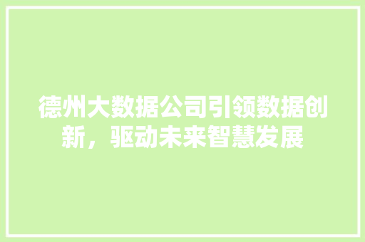 德州大数据公司引领数据创新，驱动未来智慧发展  第1张