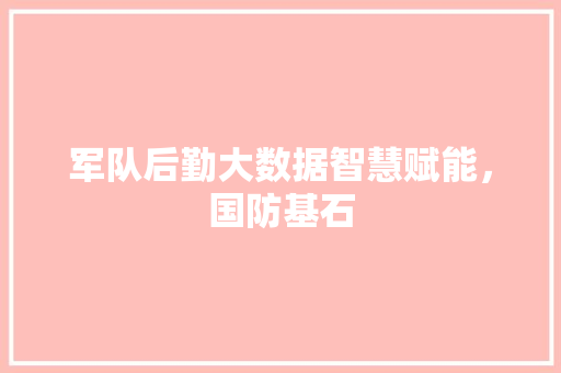 军队后勤大数据智慧赋能，国防基石  第1张