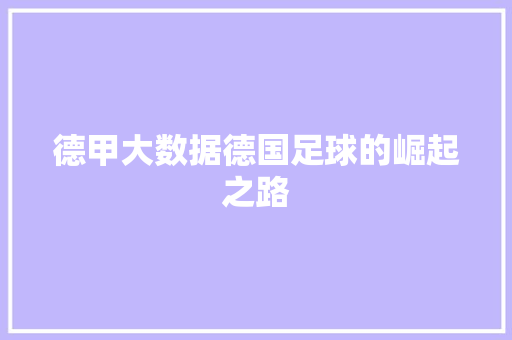 德甲大数据德国足球的崛起之路
