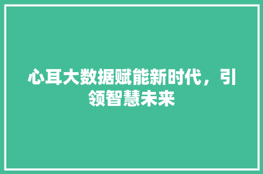 心耳大数据赋能新时代，引领智慧未来