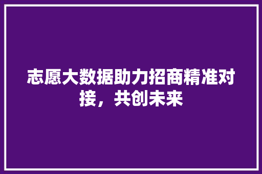 志愿大数据助力招商精准对接，共创未来
