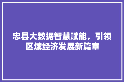 忠县大数据智慧赋能，引领区域经济发展新篇章  第1张