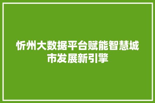 忻州大数据平台赋能智慧城市发展新引擎  第1张
