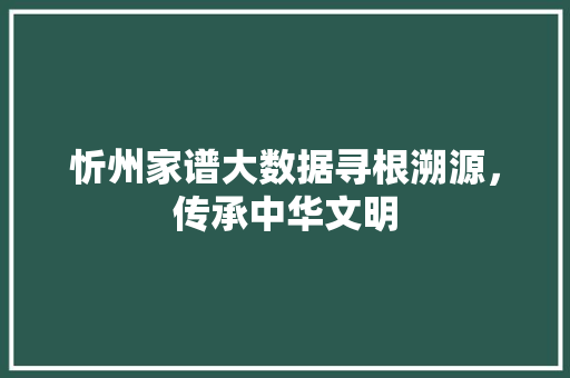 忻州家谱大数据寻根溯源，传承中华文明