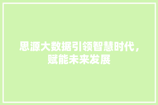 思源大数据引领智慧时代，赋能未来发展