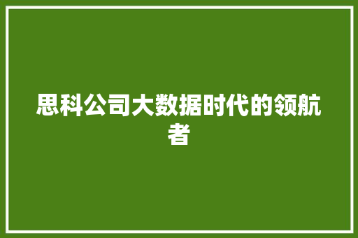 思科公司大数据时代的领航者