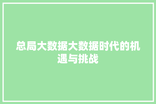 总局大数据大数据时代的机遇与挑战  第1张