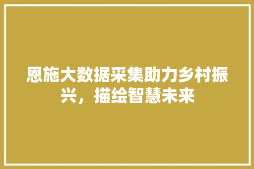 恩施大数据采集助力乡村振兴，描绘智慧未来