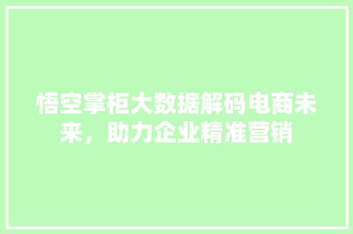 悟空掌柜大数据解码电商未来，助力企业精准营销