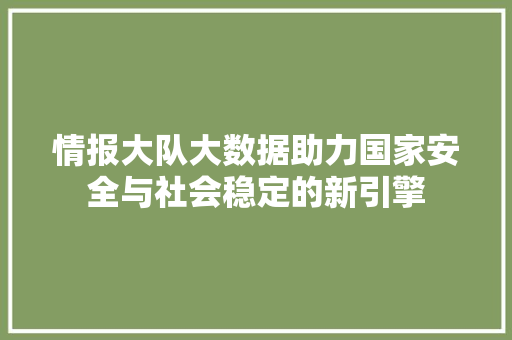 情报大队大数据助力国家安全与社会稳定的新引擎  第1张