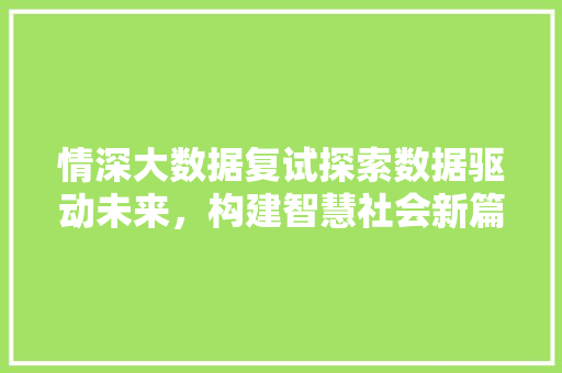 情深大数据复试探索数据驱动未来，构建智慧社会新篇章  第1张