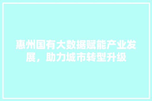 惠州国有大数据赋能产业发展，助力城市转型升级  第1张