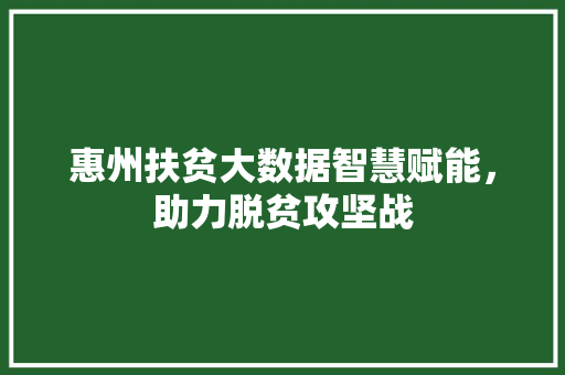 惠州扶贫大数据智慧赋能，助力脱贫攻坚战