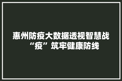 惠州防疫大数据透视智慧战“疫”筑牢健康防线