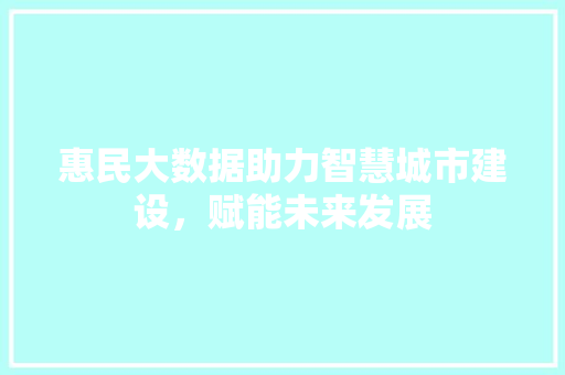 惠民大数据助力智慧城市建设，赋能未来发展  第1张