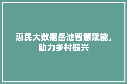 惠民大数据岳池智慧赋能，助力乡村振兴  第1张