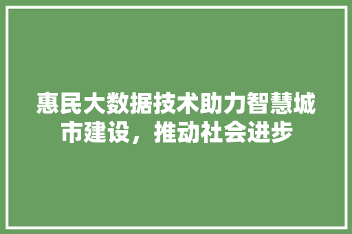 惠民大数据技术助力智慧城市建设，推动社会进步