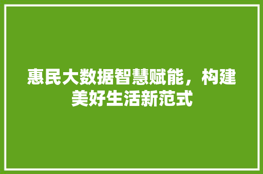 惠民大数据智慧赋能，构建美好生活新范式