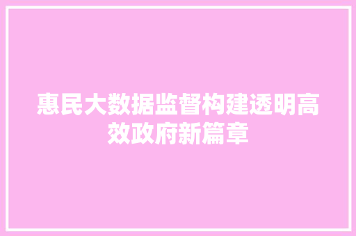 惠民大数据监督构建透明高效政府新篇章