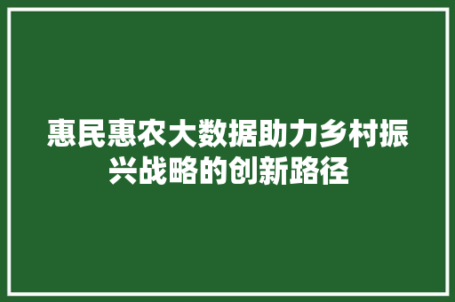 惠民惠农大数据助力乡村振兴战略的创新路径