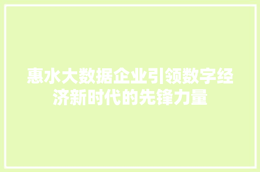 惠水大数据企业引领数字经济新时代的先锋力量