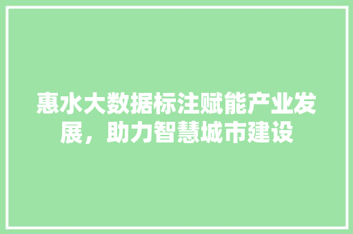 惠水大数据标注赋能产业发展，助力智慧城市建设