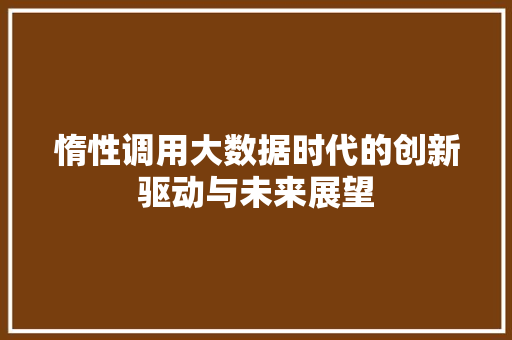 惰性调用大数据时代的创新驱动与未来展望