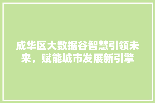 成华区大数据谷智慧引领未来，赋能城市发展新引擎  第1张