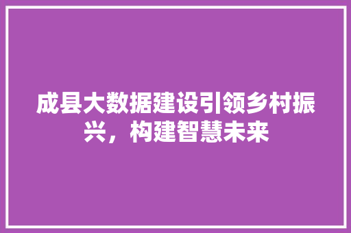 成县大数据建设引领乡村振兴，构建智慧未来