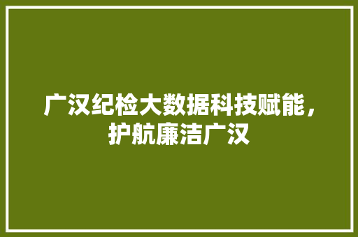 广汉纪检大数据科技赋能，护航廉洁广汉  第1张