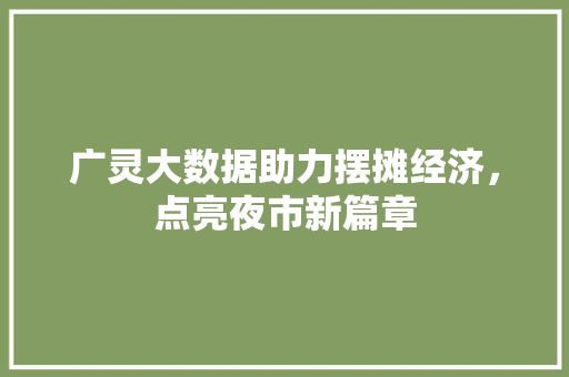 广灵大数据助力摆摊经济，点亮夜市新篇章  第1张