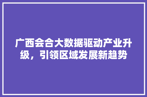 广西会合大数据驱动产业升级，引领区域发展新趋势  第1张