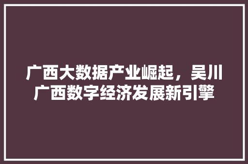 广西大数据产业崛起，吴川广西数字经济发展新引擎