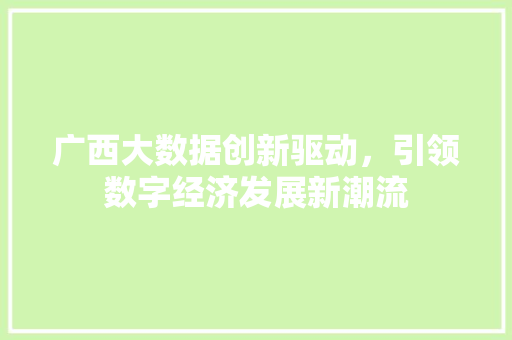 广西大数据创新驱动，引领数字经济发展新潮流  第1张