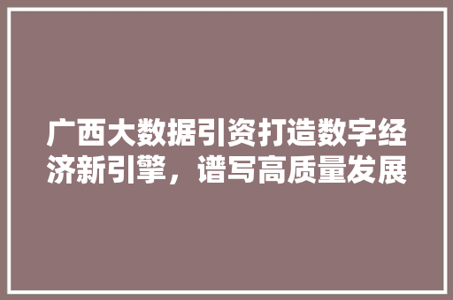 广西大数据引资打造数字经济新引擎，谱写高质量发展新篇章  第1张