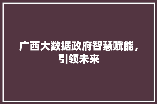 广西大数据政府智慧赋能，引领未来  第1张